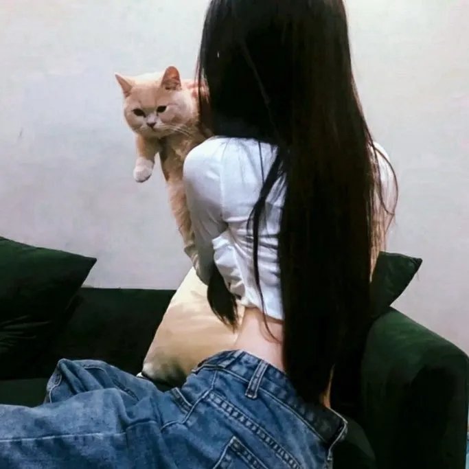 意乱情迷粤语